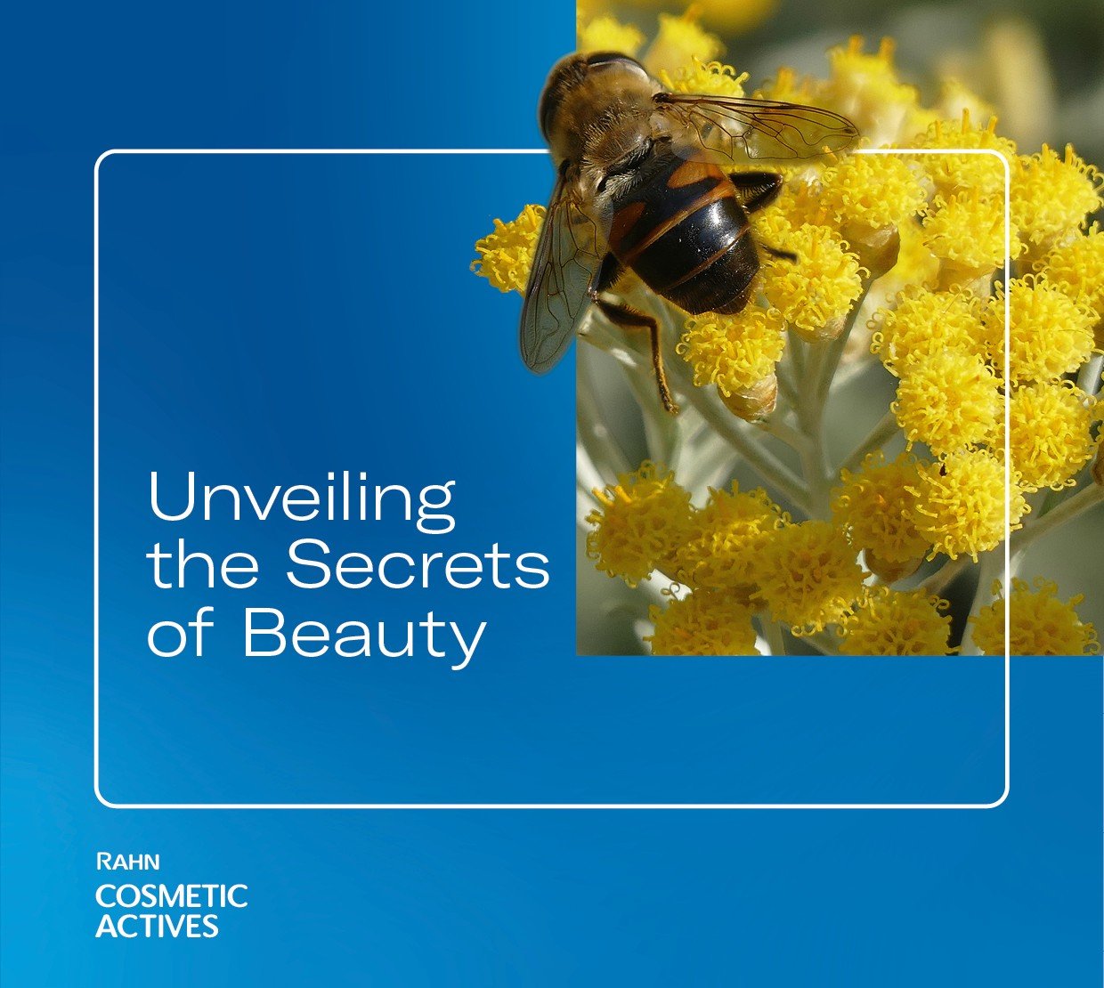 Titelbild_RAHN-Cosmetic Actives_Final.jpg