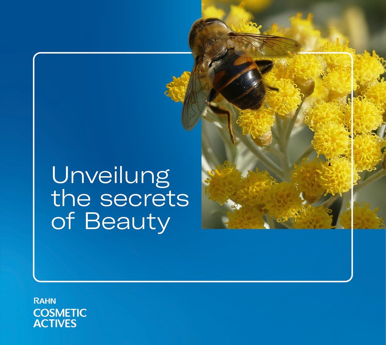 Titelbild_RAHN-Cosmetic Actives.jpg