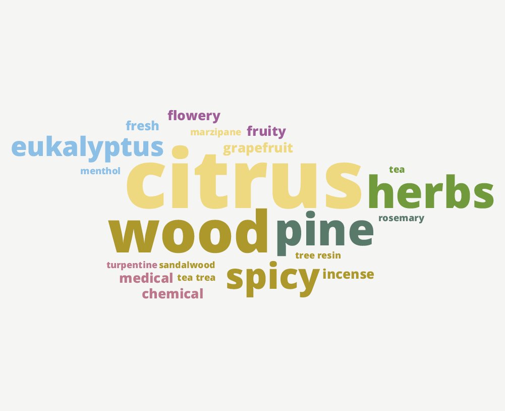Sensocosmetics_words.jpg
