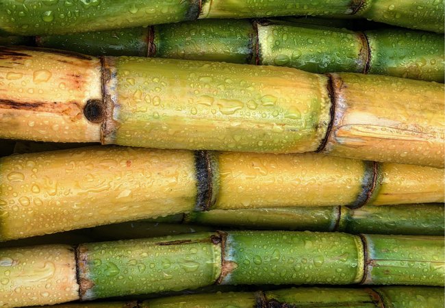 Rahn cosmetic news - bamboo sticks