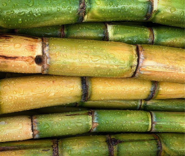 Rahn cosmetic news - bamboo sticks