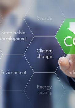 RAHN sustainable products regrowable bio-based