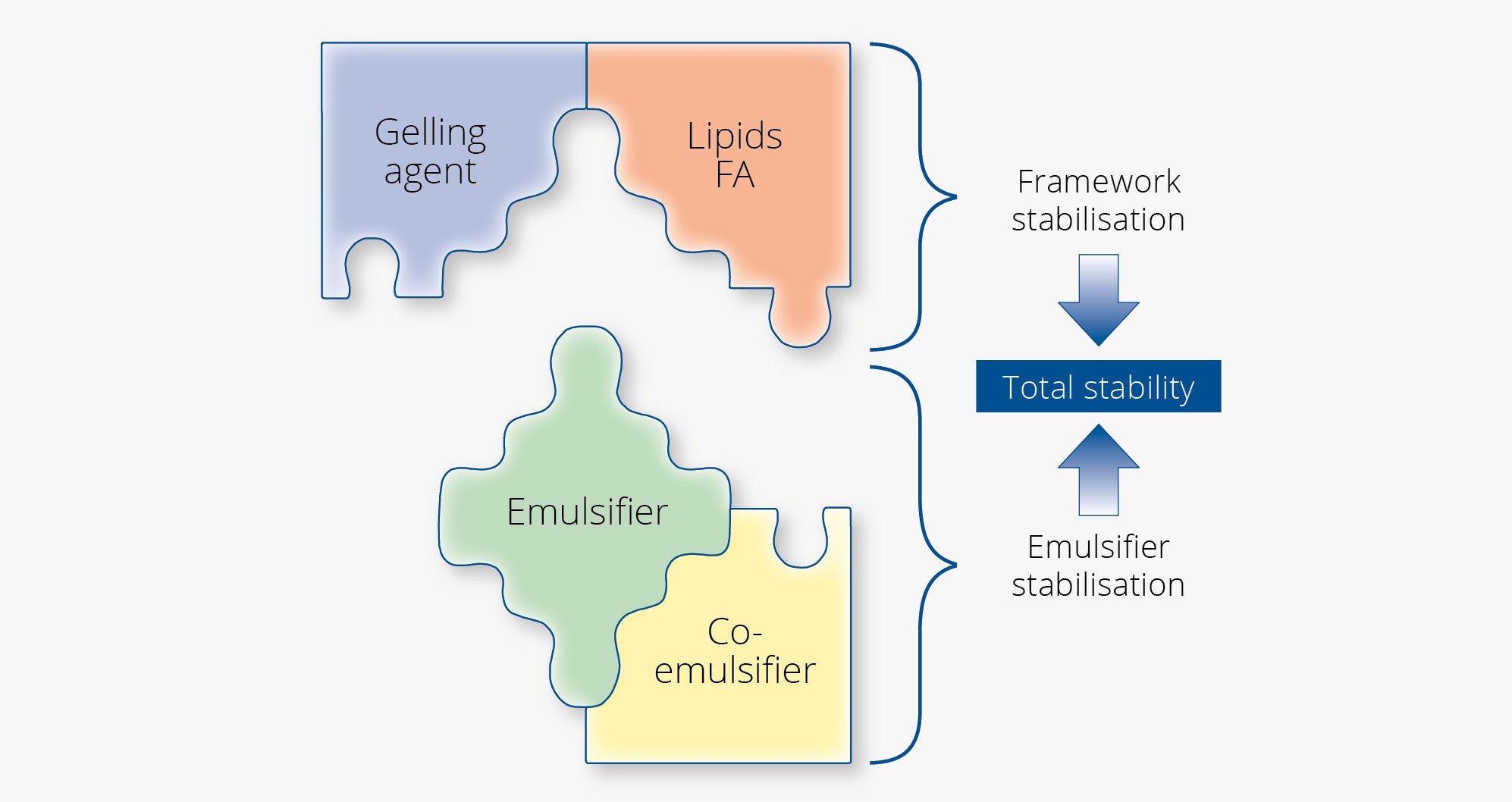 Cosmetic Services - four puzzle pieces labelled Gelling agent, Lipids FA, Emulsifier and Co-emulsifier showing that together they allow total stability