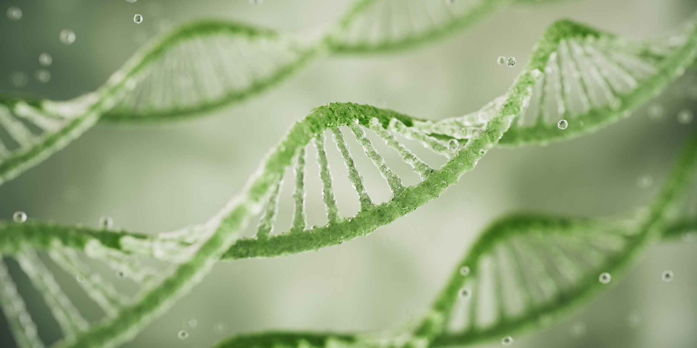 PoK_06-2026_DNA.jpg