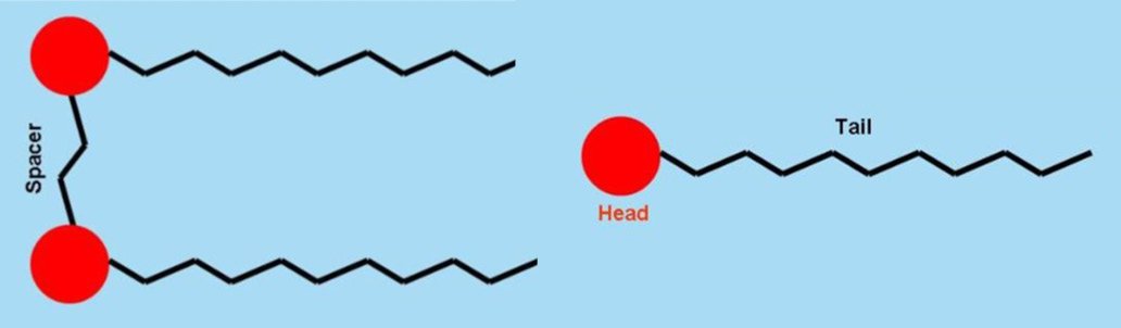 Cosmetic Services - surfactants with their head and tail